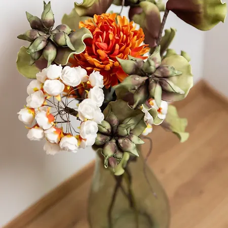 Apartmán Mladenka *